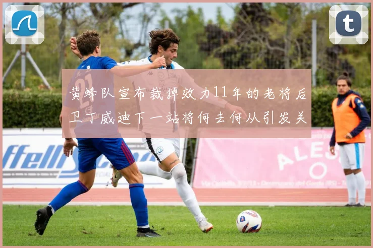 黄蜂队宣布裁掉效力11年的老将后卫丁威迪下一站将何去何从引发关注