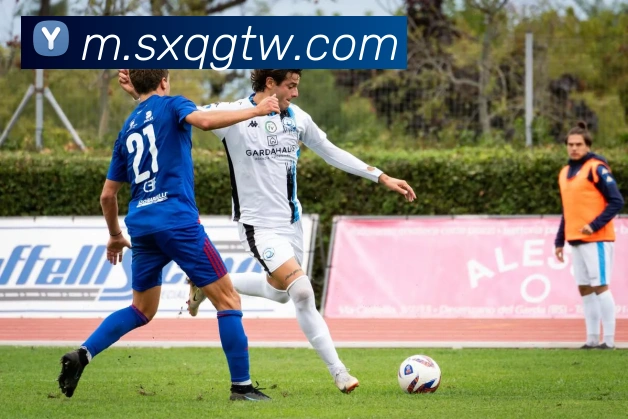 ob官网服务体系